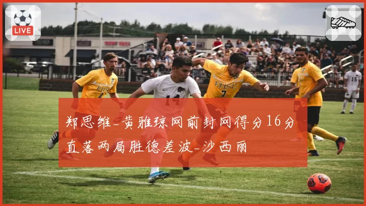 郑思维_黄雅琼网前封网得分16分 直落两局胜德差波_沙西丽