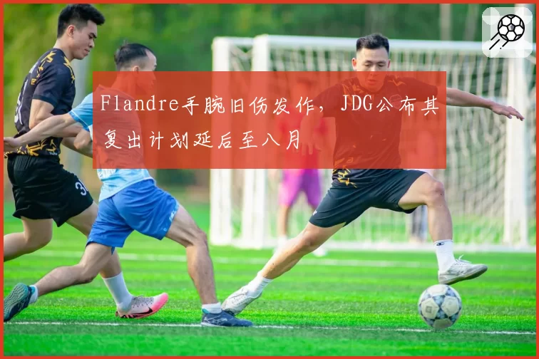 Flandre手腕旧伤发作，JDG公布其复出计划延后至八月